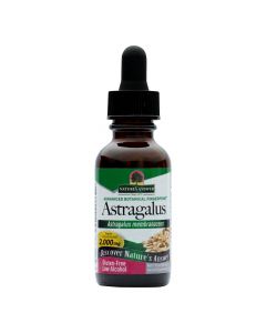 Nature's Answer - Astragalus Root - 1 fl oz