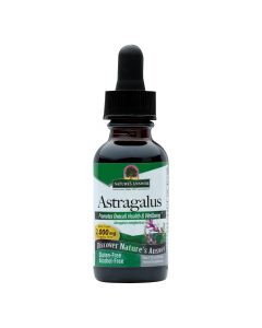 Nature's Answer - Astragalus Root Alcohol Free - 1 fl oz