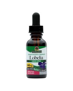 Nature's Answer - Lobelia Herb Organic Alcohol - 1 oz