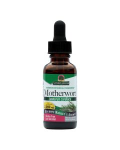 Nature's Answer - Motherwort Herb - 1 fl oz